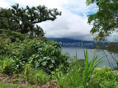 Tanah 23,25 Are Wanagiri Pinggir Jalan View Danau Buleleng Bali
