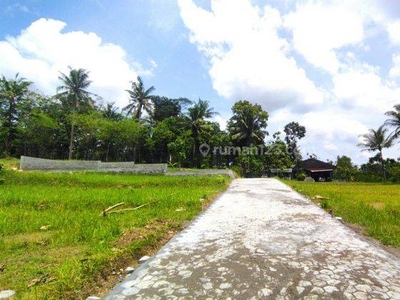 Tanah Dijual Jogja Barat, Selatan Rs Panti Rapih Kulonprogo