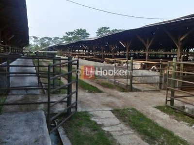 Tanah luas beserta kandang sapi di Kampung Cijulang Purwakarta