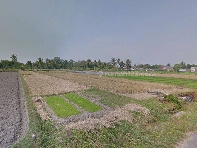 Tanah View Sawah Dan Merapi, Timur Jl. Kaliurang Km. 10