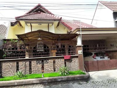 Rumah Area Papa Hijau Suhat Kota Malang