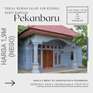 Dijual Rumah Besar Aur Kuning Kota Pekanbaru Lokasi Dekat Masjid