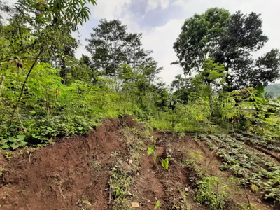 Dijual tanah murah daerah garut kota