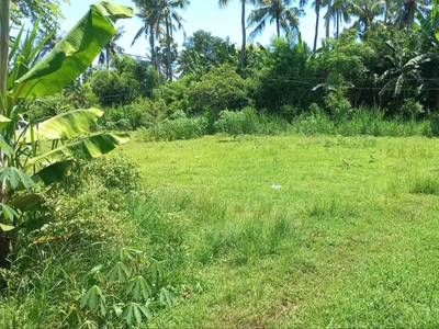 Dijual Tanah Perumahan / Kebun