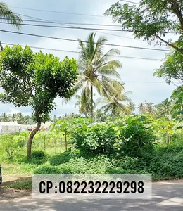 Dijual tanah pinggir jalan untuk investasi di Jember