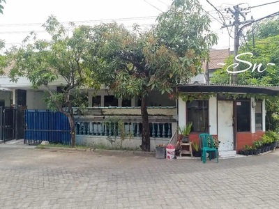 Fj182 Dijual Butuh Cepat Laku Rumah Hitung Tanah di Sutorejo HOOK