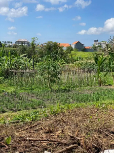 FREEHOLD PLOT FOR SALE IN THE HEART OF BATU BOLONG CANGGU