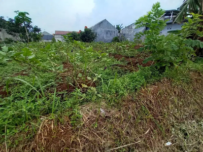 Jual Cepat 500m2 Tanah murah lokasi Randusari Dramaga Bogor