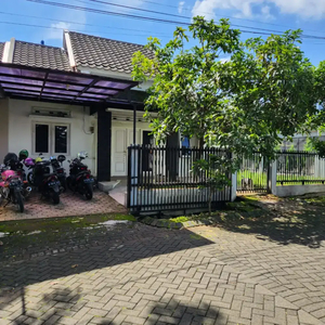 Rumah Luas 200m Di Oma Campus Dau Dekat Kampus Unmuh Malang