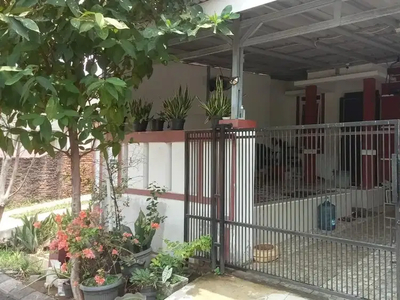 Rumah Minimalis Bisa KPR Dijual Murah Citra Indah City
