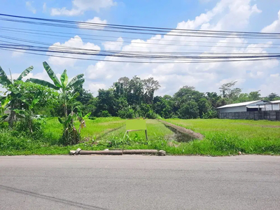 Tanah 1436m2 Jl Magelang Dekat UGM, Hyatt Jogja