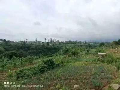 Tanah 4 Hektar Di Puncak Bogor