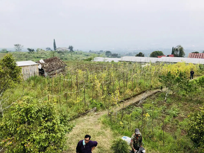 Tanah Lokasi Strategis, Cocok Untuk Investasi, Kota Batu LM14