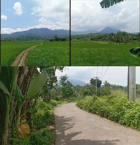 Tanah Murah 270rb Per Meter Pinggir Jalan Kabupaten
