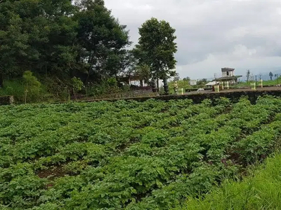 Tanah pertanian View terbaik di kota Batu
