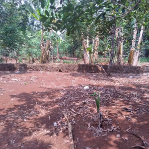 Tanah Tembalang Bulusan Dekat Kampus Undip Tembalang