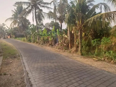 Tanah View Sawah Nyambu Tabanan