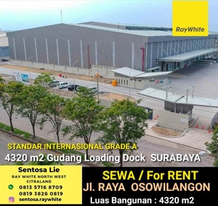 Disewakan 4320 M2 Gudang Loading Dock Surabaya Di Jlraya Osowilangon