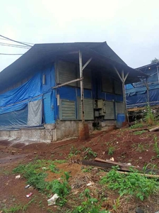 Disewakan Kandang Ayam Potong Close House Kapasitas 100 Ribu Ekor
