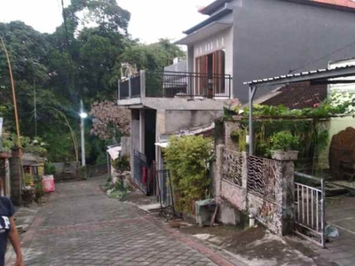 Rumah Di Canggu Bali Jalan Kayu Tulang Utara