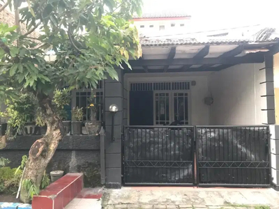 dijual rumah tengah kota harga ambyar