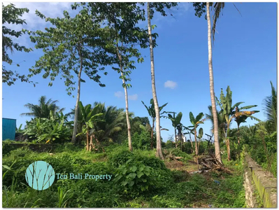 600SQM FREEHOLD LAND IN SAMSAM TABANAN