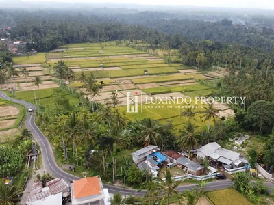 DIJUAL 9 HEKTAR TANAH DENGAN PEMANDANGAN LEMBAH DI PAYANGAN (FHL415)