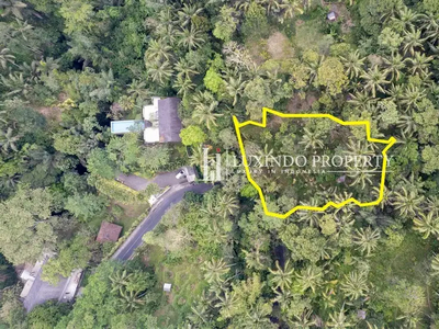 DIJUAL TANAH DENGAN PEMANDANGAN HUTAN DI KELUSA, GIANYAR (FHL451)