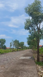 Jual Tanah Dekat Ke Pantai Kedunggu Tabanan Bali