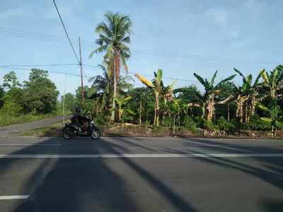 Kebun pinggir jalan