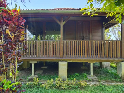 Tanah kebun buah dan villa murah di tabanan, bali