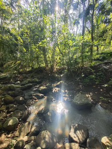 tanah kebun los sungai view cantik murah di tabanan bali.