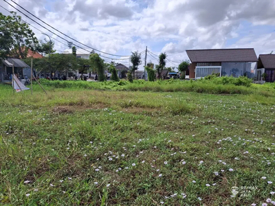 Tanah Komersil 28.5 are Di Jalan Utama Disewakan, area Canggu