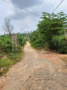 TANAH PINGGIR JALAN TERUSAN PULAU SINGKEP JUAL MURAH LAGI B.U