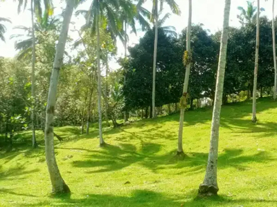 Tanh kebun akses jalan hotmik di tabanan bali