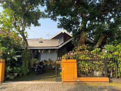 Rumah Gurah di Jual Area Ketami Tugurejo Tanah 310 m2