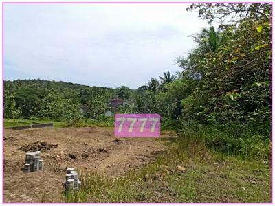 Tanah Dijual Wates Selatan RS Panti Rapih