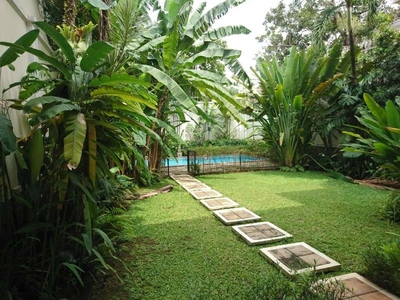Beautiful tropical mininalist house in the heart of Kemang