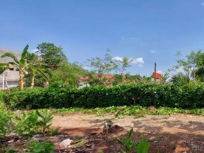 Dijual lahan 1800m2 SHM pinggir jalan dkt Undip Tembalang Semarang