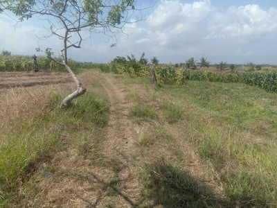 DIJUAL TANAH BERABAN TABANAN DEKAT PANTAI