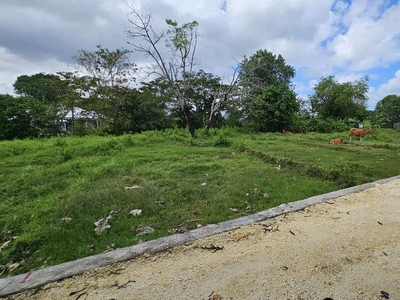 Dijual tanah komersil dekat pantai pererenan canggu