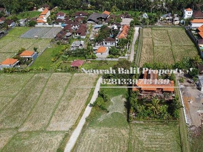Dijual Tanah Murah Luas 7 Are View Sawah Kawasan Villa di Ubud