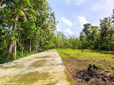 HANYA 2 JUTAAN, Tanah Panjatan di Jogja, Kulon Progo