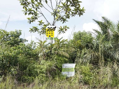 Jual Tanah Pinggir Jalan Cocok Untuk Tanah Timbun di Pekanbaru
