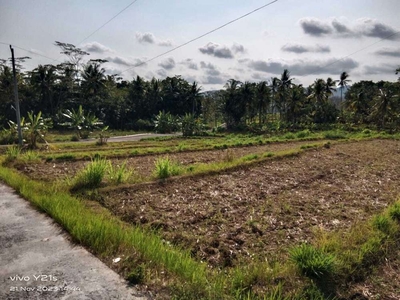 JUAL TANAH SAWAH DI BANYUROTO NANGGULAN