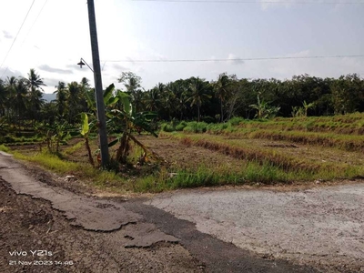 JUAL TANAH SAWAH KULON PROGO DI BANYUDONO NANGGULAN VIEW SAWAH