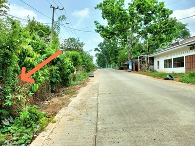 Tanah 15x50 siap bangun Depan Jalan Poros Pucak Desa Benteng Gajah