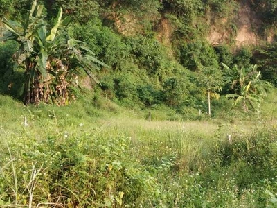 Tanah di dekat kawasan Industri cocok utk pabrik dan gudang