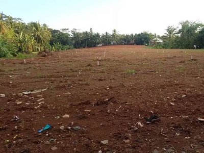 Tanah Dijual Di Pandeglang Banjar 72 m2 Jl.Maja cibiuk