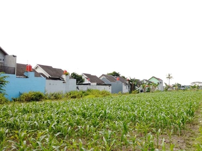Tanah Dijual Jogja Timur Belakang Indomaret Tlogo